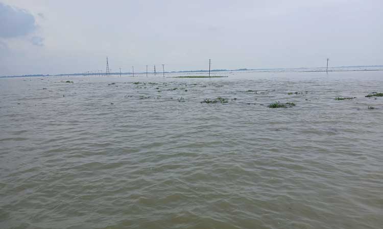 হাঁসের জন্য শামুক কুড়াতে গিয়ে হাওরের পানিতে ডুবে মৃত্যু