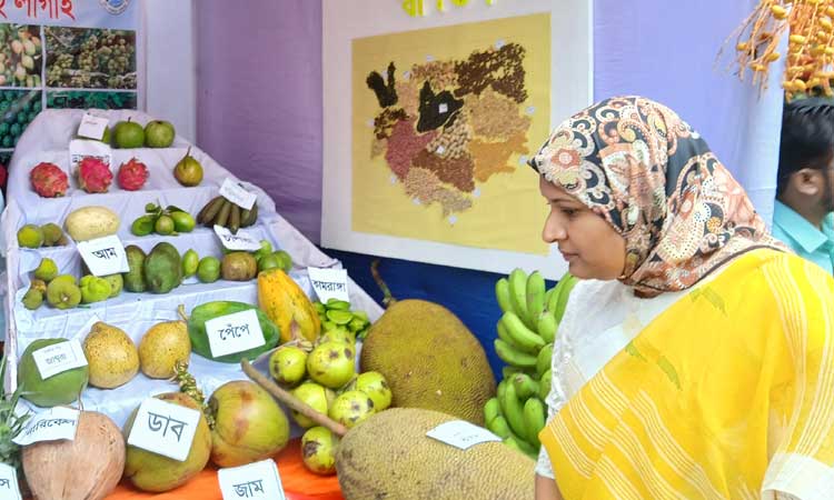 কিশোরগঞ্জে ফল মেলায় নানান ফলের সমাহার