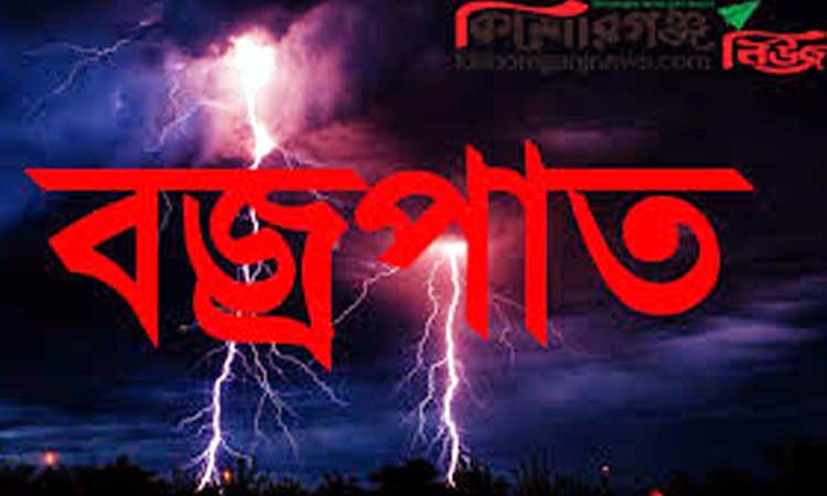 মিঠামইনে বজ্রপাতে কৃষকের মৃত্যু