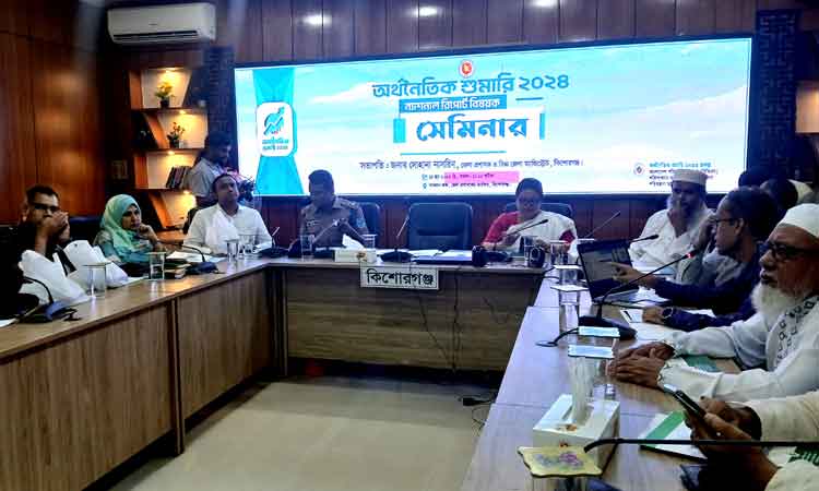 কিশোরগঞ্জে অর্থনৈতিক শুমারির ন্যাশনাল রিপোর্ট বিষয়ে সেমিনার অনুষ্ঠিত