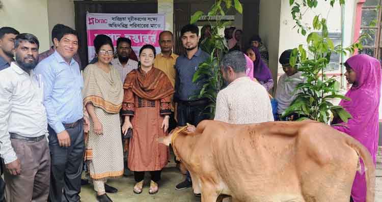 তাড়াইলে ব্র্যাকের উদ্যোগে ১৬ হাজার মাছের পোনা, বীজ ও গবাদিপশু বিতরণ