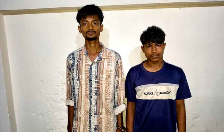 ভৈরবে গাঁজা ও ইয়াবাসহ আটক দুই যুবকের জেল-জরিমানা