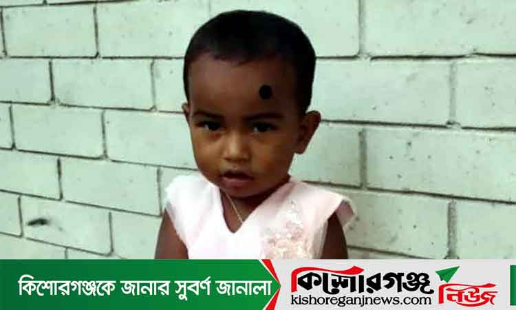 বাড়ির সামনে খেলতে গিয়ে পানিতে পড়ে শিশুর মৃত্যু