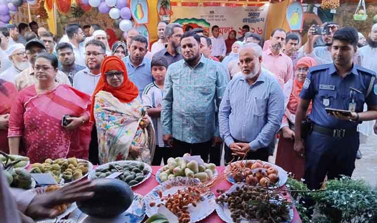 কিশোরগঞ্জে শুরু হয়েছে জেলা ফল মেলা, নানান ফলের সমাহার