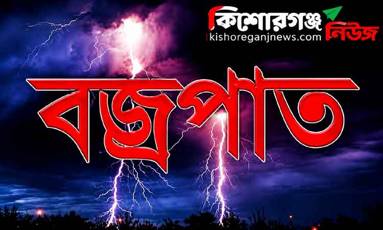 করিমগঞ্জে হাওরে মাছ ধরতে গিয়ে বজ্রপাতে চাচা-ভাতিজা নিহত