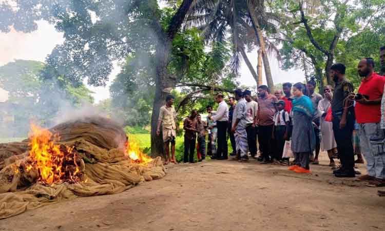 তাড়াইলে অবৈধ জাল আগুনে পুড়িয়ে ধ্বংস
