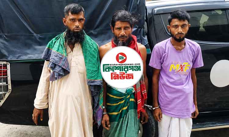 কিশোরগঞ্জে গাঁজাসহ আটক তিনজনের জেল-জরিমানা