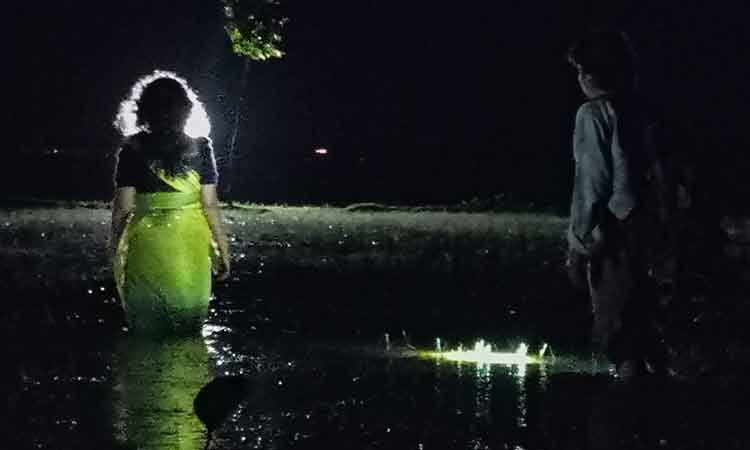 হাওরের প্রকৃতি নিয়ে রহস্য-চলচ্চিত্র ‘নাওবিবি’